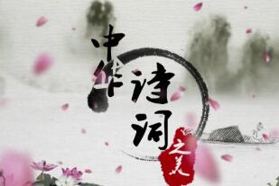 那些日子